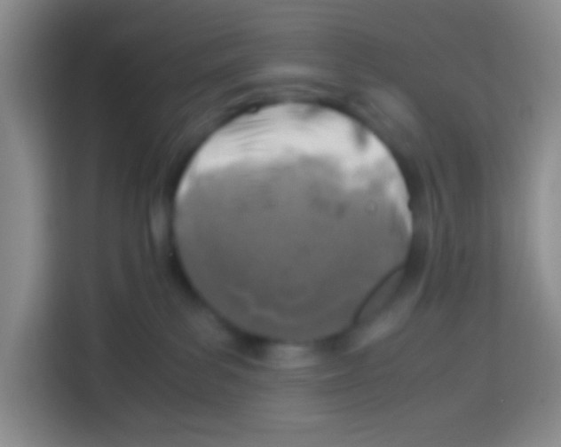 X0000112970139200910081053