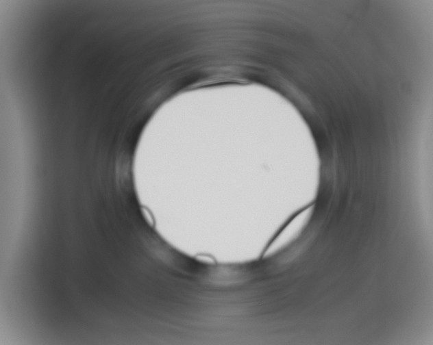 X0000112970141200910081053