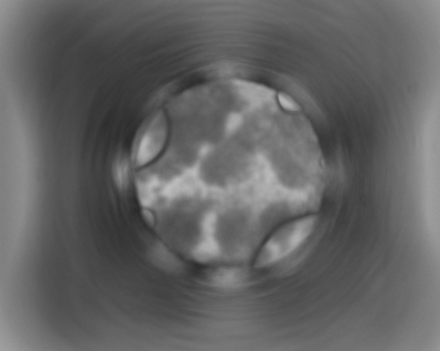 X0000112970142200910081053