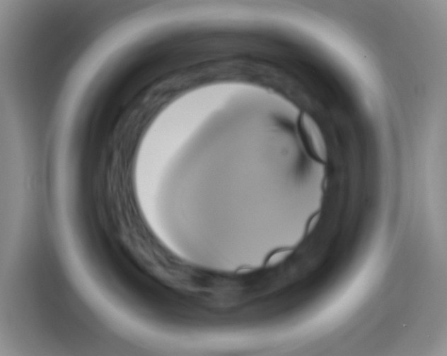 X0000112970143200910081053