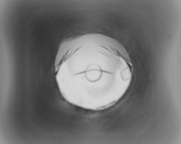 X0000112970144200910081053