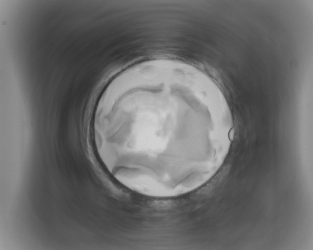 X0000112970145200910081052