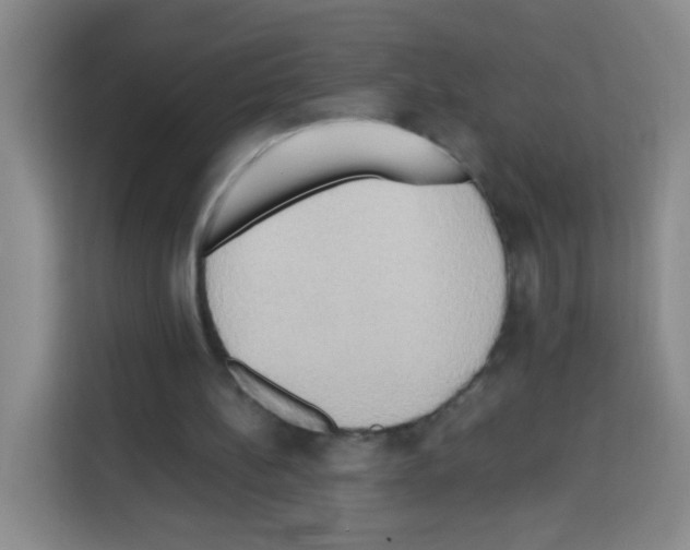 X0000112970148200910081052