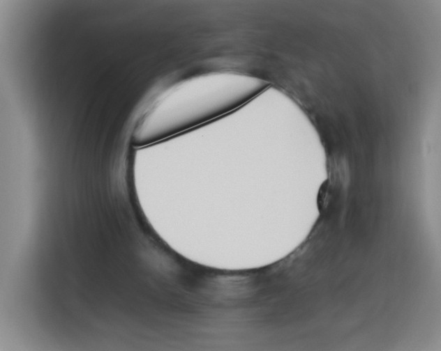 X0000112970150200910081052