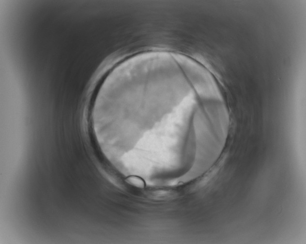 X0000112970151200910081052