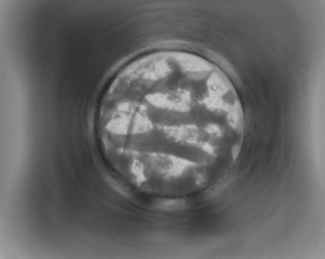 X0000112970155200910081052
