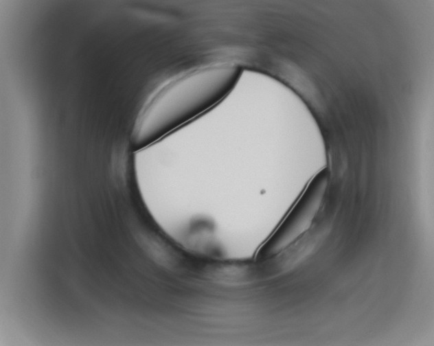 X0000112970156200910081052