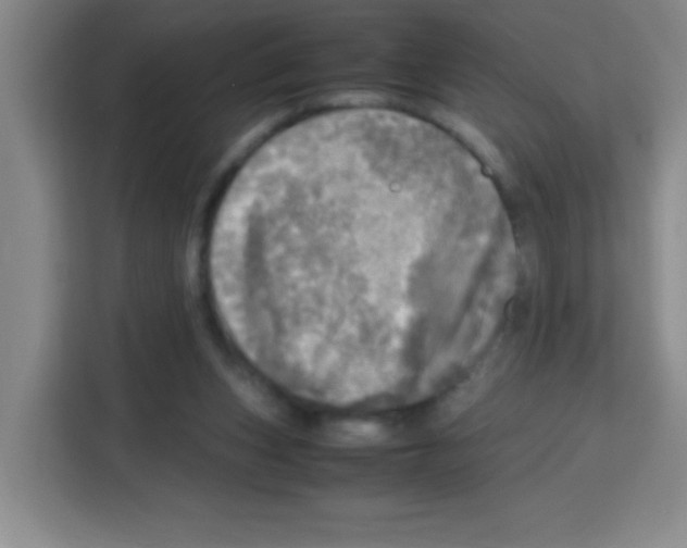 X0000112970159200910081052