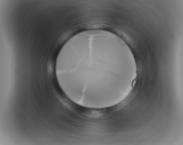 X0000112970166200910081053