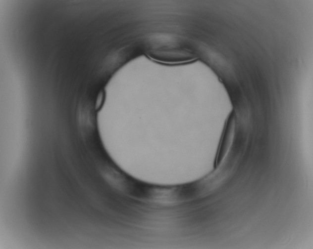 X0000112970170200910081053