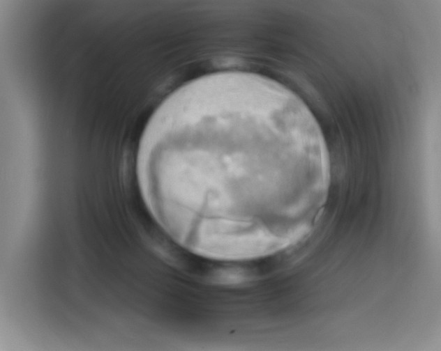 X0000112970171200910081053