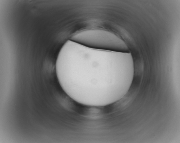 X0000112970176200910081053