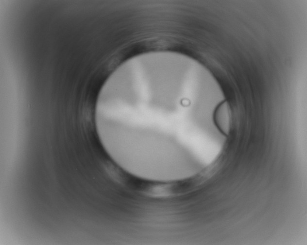 X0000112970178200910081053