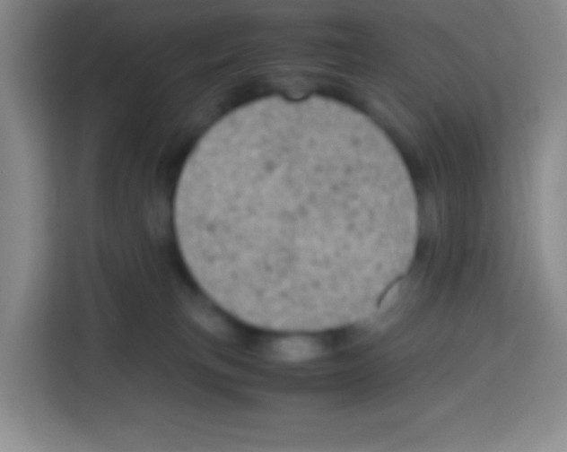 X0000112970183200910081053