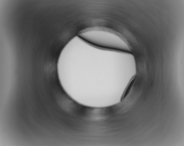 X0000112970184200910081053