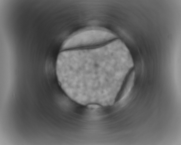 X0000112970186200910081053