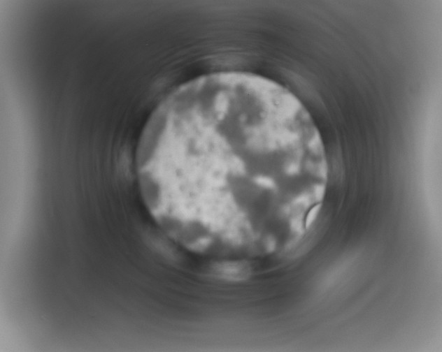 X0000112970187200910081053