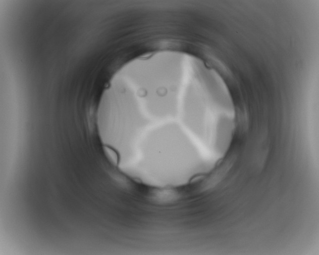 X0000112970189200910081053