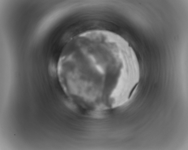 X0000112970191200910081053