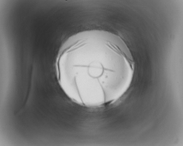 X0000112970192200910081053