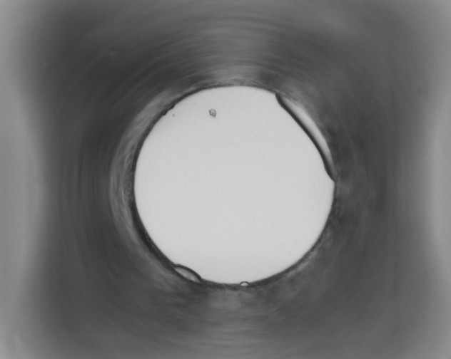 X0000112970193200910081052