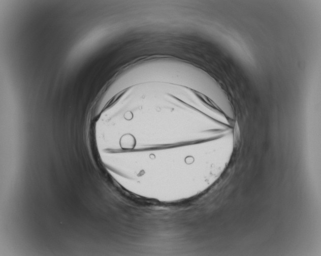 X0000112970195200910081052