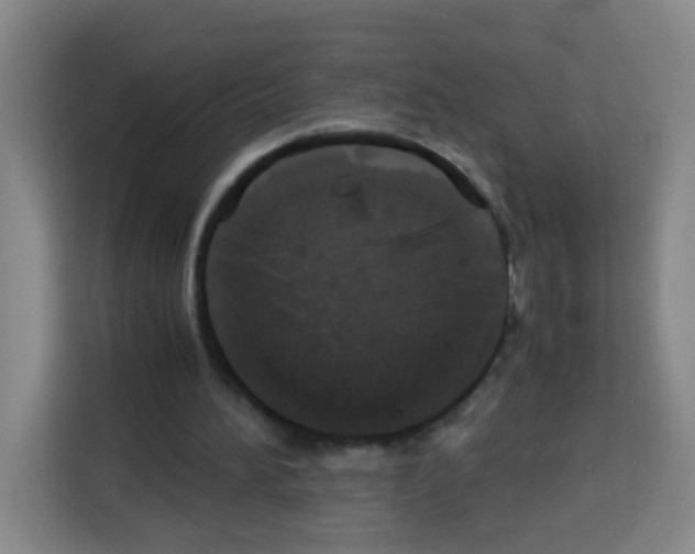 X0000112970196200910081052