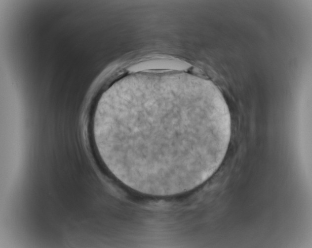 X0000112970197200910081052