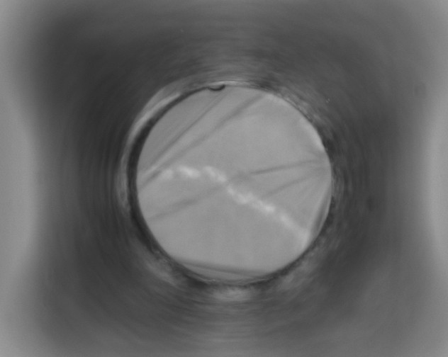 X0000112970198200910081052