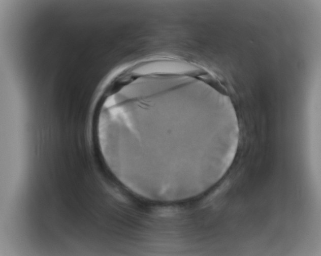 X0000112970200200910081052