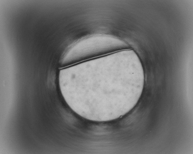 X0000112970201200910081052