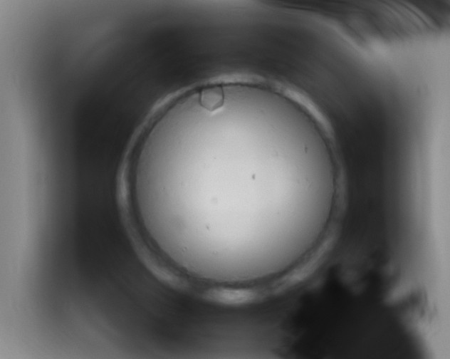 X0000112970203200910081052