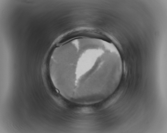 X0000112970204200910081052