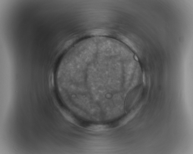 X0000112970205200910081052