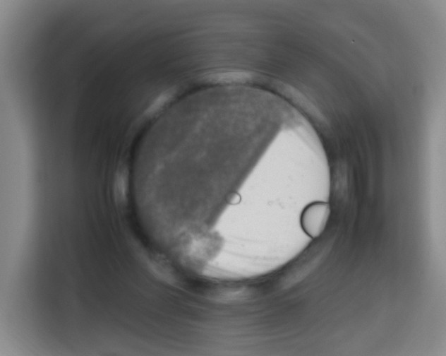 X0000112970206200910081052