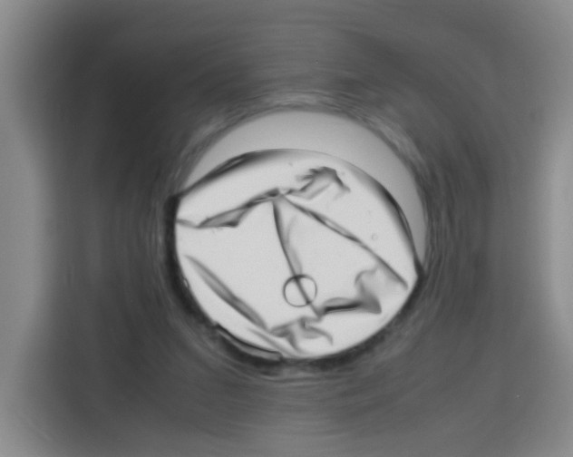 X0000112970207200910081052