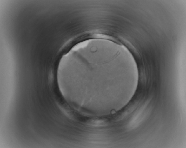 X0000112970208200910081052