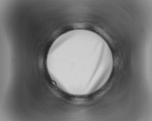X0000112970209200910081052