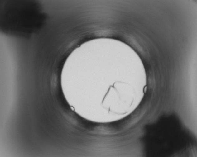 X0000112970211200910081052