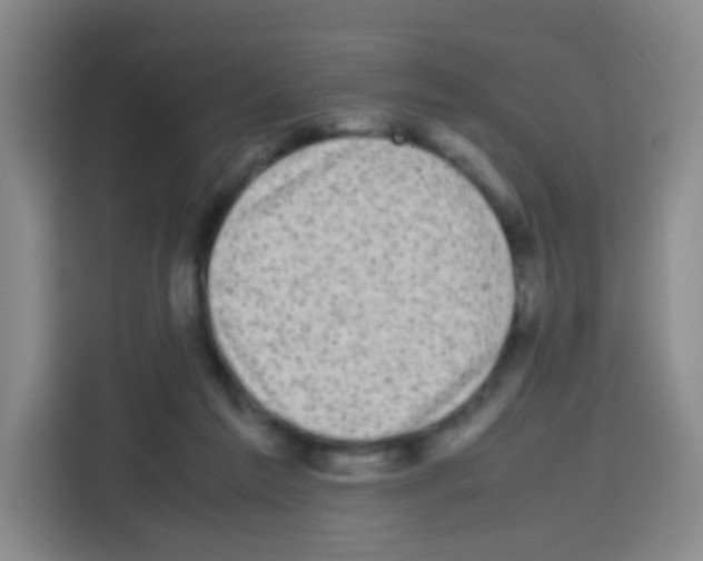 X0000112970213200910081052