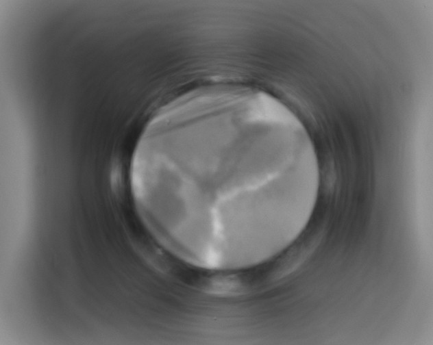 X0000112970214200910081052