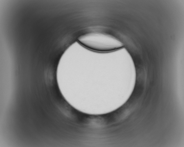 X0000112970215200910081052