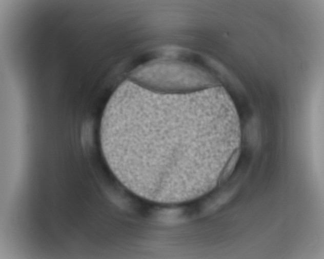 X0000112970217200910081052