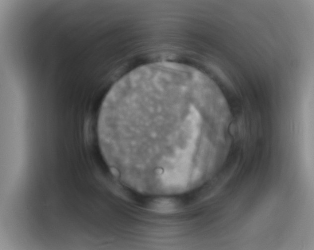 X0000112970218200910081052