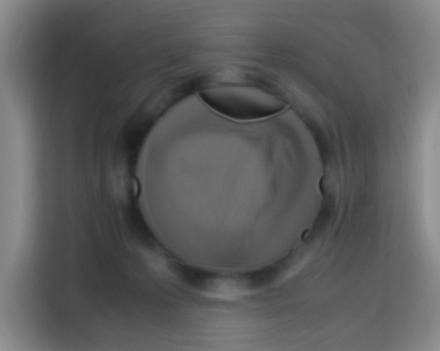 X0000112970223200910081052