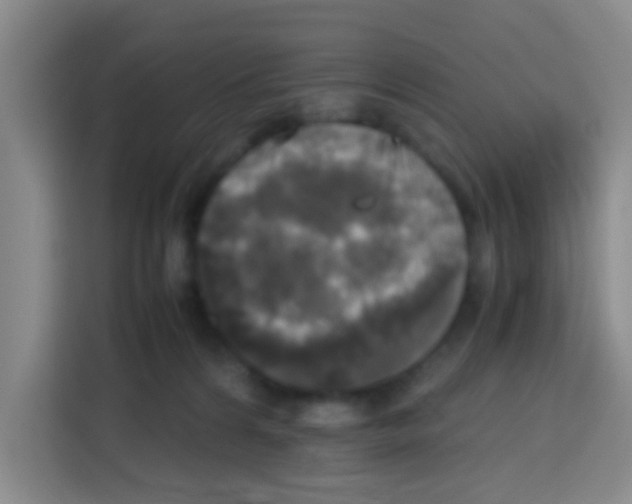 X0000112970224200910081052