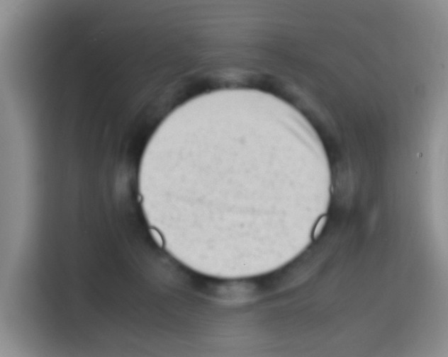 X0000112970225200910081052