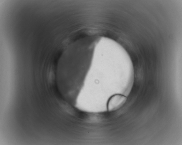 X0000112970226200910081052