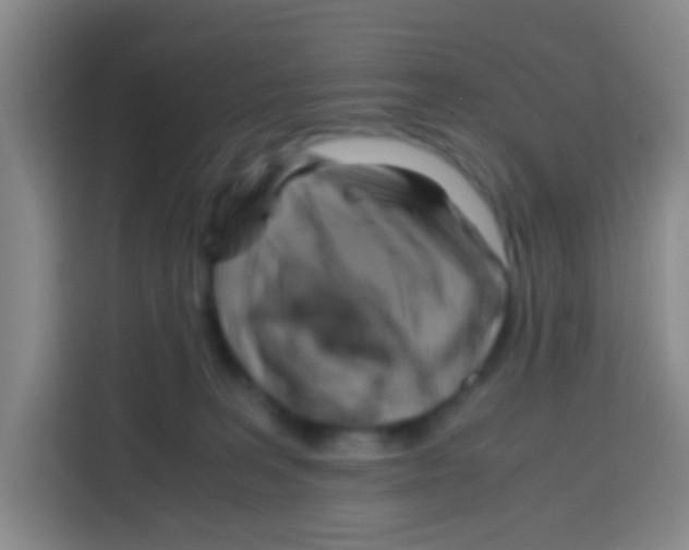 X0000112970227200910081052