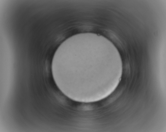 X0000112970228200910081052